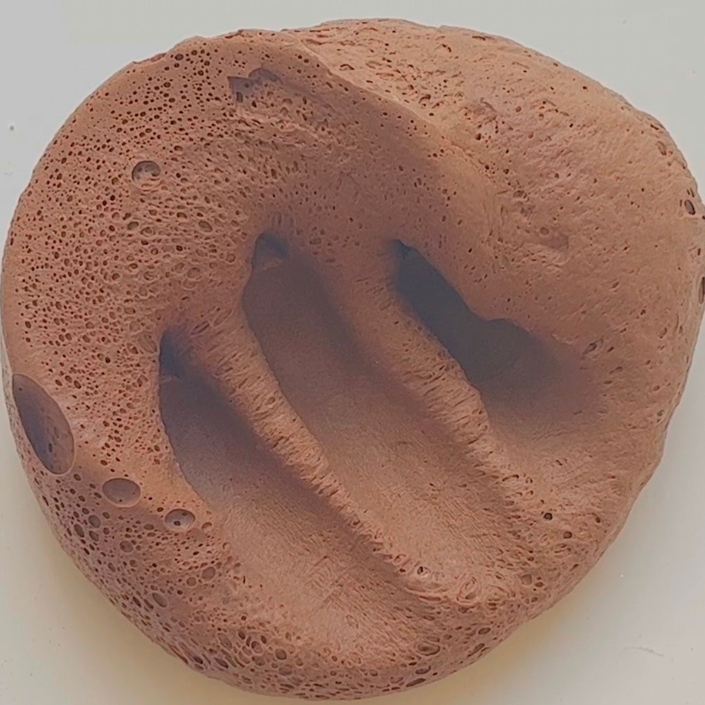 Mousse Au Chocolat Slime